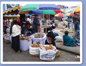 Andean Marketplace